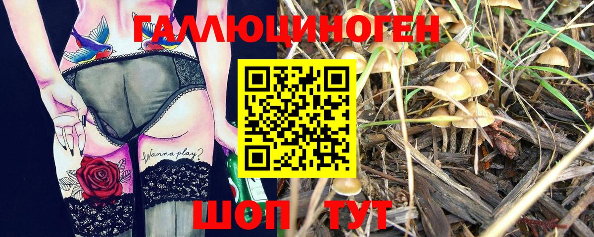 Галлюциногенные грибы Cubensis Магадан